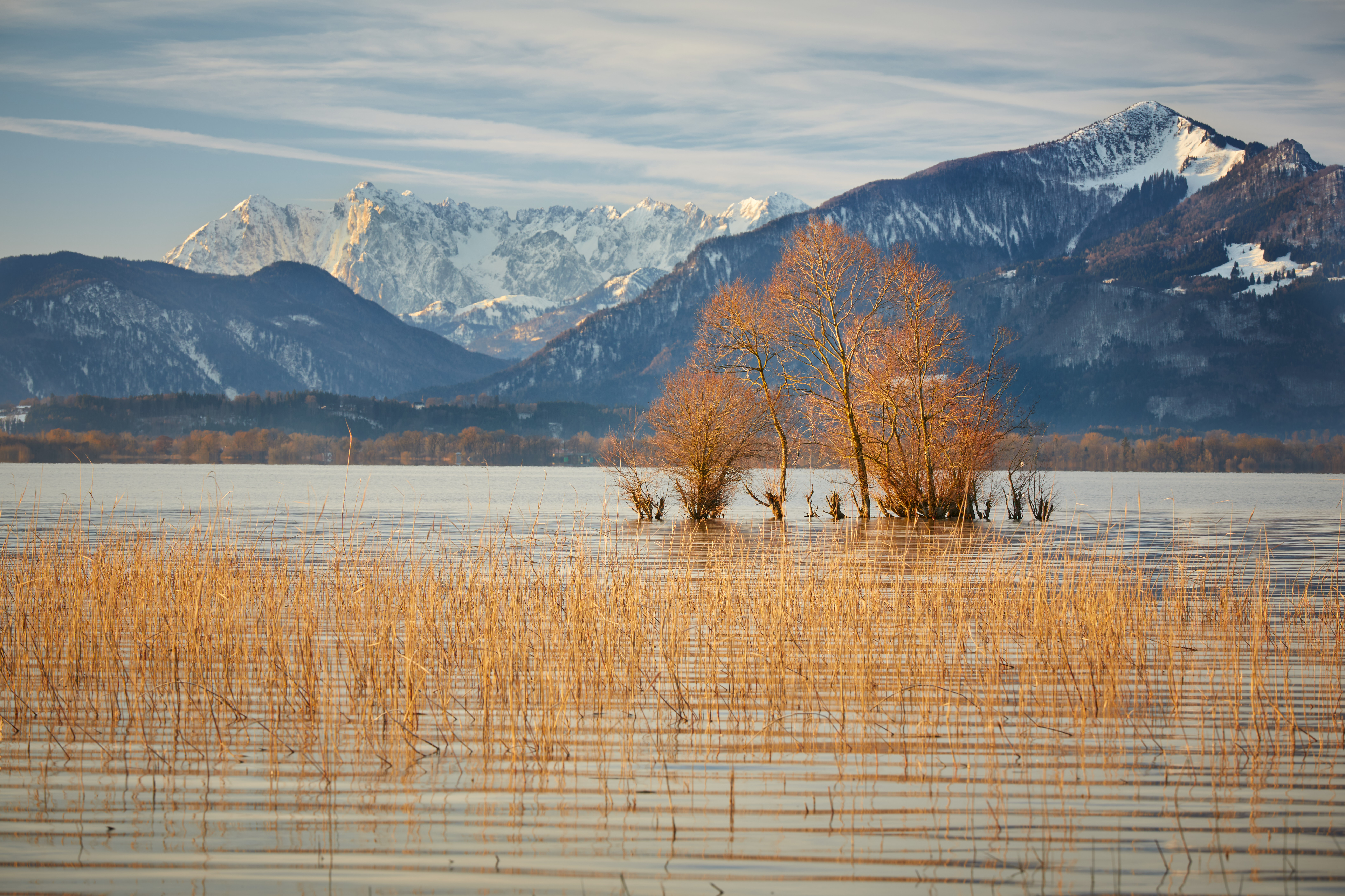 20200209 Schützinger Bucht 025